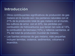 • Otros contribuyentes significativos de producción de gas
metano en le mundo son: los pantanos naturales con el
21% de la producción total de gas metano en el mundo,
los cultivos de arroz con el 20%; las pérdidas por
combustión de hidrocarburos que tienen tan solo el 14%,
la combustión de biomasa (10%) y rellenos sanitarios, el
7% del total de producción mundial de metano.
• Las fuentes emisoras de gas metano, más pequeñas
incluyen termitas, océanos, sedimentos, volcanes e
incendios.
 