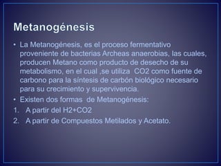 • La Metanogénesis, es el proceso fermentativo
proveniente de bacterias Archeas anaerobias, las cuales,
producen Metano como producto de desecho de su
metabolismo, en el cual ,se utiliza CO2 como fuente de
carbono para la síntesis de carbón biológico necesario
para su crecimiento y supervivencia.
• Existen dos formas de Metanogénesis:
1. A partir del H2+CO2
2. A partir de Compuestos Metilados y Acetato.
 