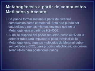 • Se puede formar metano a partir de diversos
compuestos como el metanol. Esta ruta puede ser
catabolizada por las mismas enzimas que en la
Metanogénesis a partir de H2+CO2.
• Si no se dispone del poder reductor (como el H2 en la
anterior ruta) para impulsar el paso terminal de la
Metanogénesis, algunas moléculas de Metanol deben
ser oxidado a CO2, para producir electrones, los cuales
serán útiles para posteriores pasos.
 