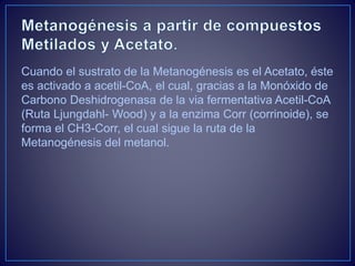 Cuando el sustrato de la Metanogénesis es el Acetato, éste
es activado a acetil-CoA, el cual, gracias a la Monóxido de
Carbono Deshidrogenasa de la via fermentativa Acetil-CoA
(Ruta Ljungdahl- Wood) y a la enzima Corr (corrinoide), se
forma el CH3-Corr, el cual sigue la ruta de la
Metanogénesis del metanol.
 