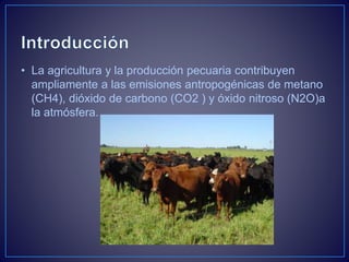 • La agricultura y la producción pecuaria contribuyen
ampliamente a las emisiones antropogénicas de metano
(CH4), dióxido de carbono (CO2 ) y óxido nitroso (N2O)a
la atmósfera.
 