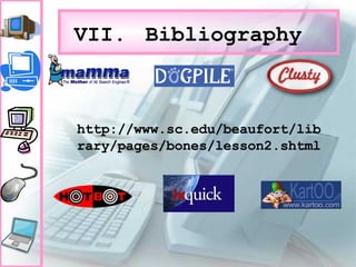 VII. Bibliography http://www.sc.edu/beaufort/library/pages/bones/lesson2.shtml 