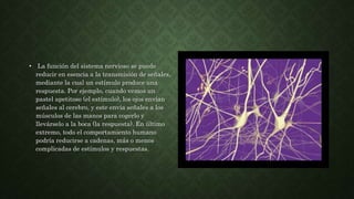 • Las células que forman el sistema nervioso, o
neuronas, son células especializadas en recibir y
enviar señales, y tienen...