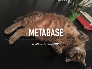 METABASE
avec des chatons
 