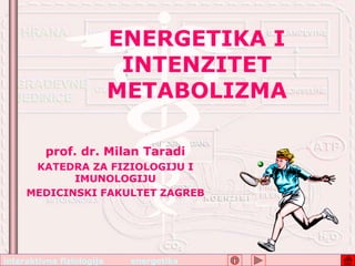 interaktivna fiziologija energetika
ENERGETIKA I
INTENZITET
METABOLIZMA
prof. dr. Milan Taradi
KATEDRA ZA FIZIOLOGIJU I
IMUNOLOGIJU
MEDICINSKI FAKULTET ZAGREB
 