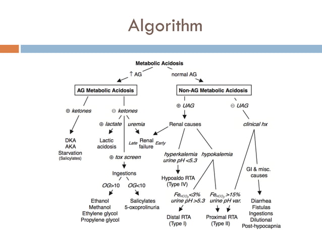 Metabolic acidosis for beginners - Dr. Sam Gharbi | PDF | Blood ...