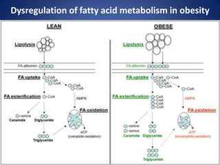 Dysregulation of fatty acid metabolism in obesity