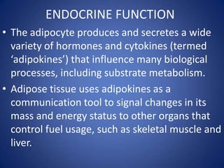 ENDOCRINE FUNCTIONThe adipocyte produces and secretes a wide variety of hormones and cytokines (termed ‘adipokines’) that influence many biological processes, including substrate metabolism. Adipose tissue uses adipokines as a communication tool to signal changes in its mass and energy status to other organs that control fuel usage, such as skeletal muscle and liver. 