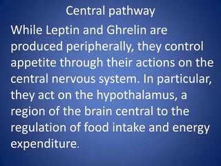 Central pathwayWhile Leptin and Ghrelinare produced peripherally, they control appetite through their actions on the central nervous system. In particular, they act on the hypothalamus, a region of the brain central to the regulation of food intake and energy expenditure.