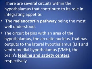     There are several circuits within the hypothalamus that contribute to its role in integrating appetite.The melanocortin pathway being the most well understood. The circuit begins with an area of the hypothalamus, the arcuate nucleus, that has outputs to the lateral hypothalamus (LH) and ventromedial hypothalamus (VMH), the brain's feeding and satiety centers, respectively.