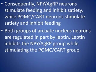 Consequently, NPY/AgRP neurons stimulate feeding and inhibit satiety, while POMC/CART neurons stimulate satiety and inhibit feedingBoth groups of arcuate nucleus neurons are regulated in part by leptin. Leptin inhibits the NPY/AgRP group while stimulating the POMC/CART group