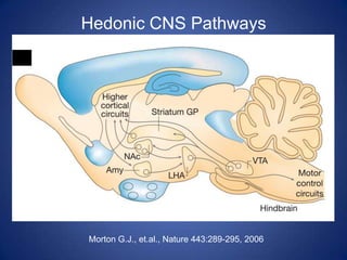 Hedonic CNS PathwaysMorton G.J., et.al., Nature 443:289-295, 2006