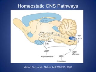 Homeostatic CNS PathwaysMorton G.J., et.al., Nature 443:289-295, 2006