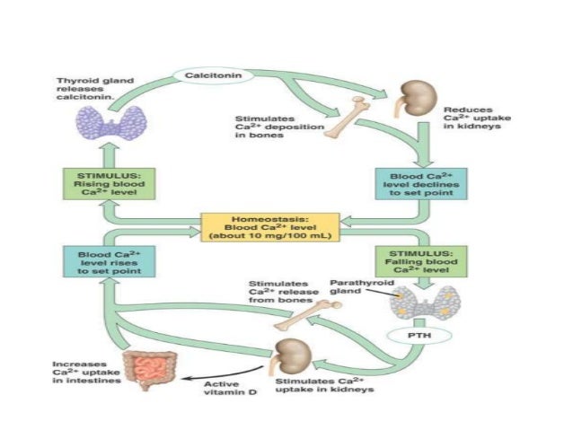 Metabolic bone disease