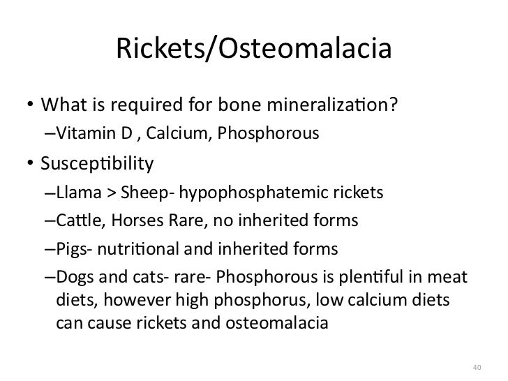 High Calcium Can Cause In Dogs High Calcium Can Cause In Dogs