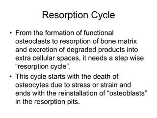 Resorption CycleFrom the formation of functional osteoclasts to resorption of bone matrix and excretion of degraded products into extra cellular spaces, it needs a step wise “resorption cycle”. This cycle starts with the death of osteocytes due to stress or strain and ends with the reinstallation of “osteoblasts” in the resorption pits.