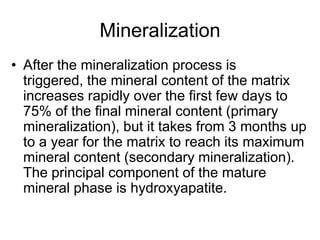 MineralizationAfter the mineralization process is triggered, the mineral content of the matrix increases rapidly over the first few days to 75% of the final mineral content (primary mineralization), but it takes from 3 months up to a year for the matrix to reach its maximum mineral content (secondary mineralization). The principal component of the mature mineral phase is hydroxyapatite. 