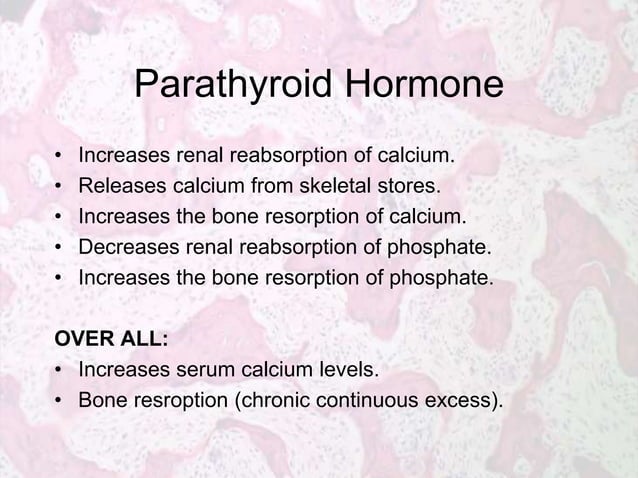 Metabolic Bone Diseases
