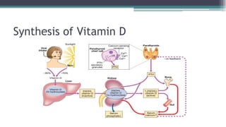 Synthesis of Vitamin D
 