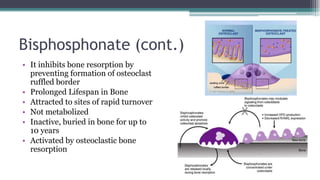 Bisphosphonate (cont.)
• It inhibits bone resorption by
preventing formation of osteoclast
ruffled border
• Prolonged Lifespan in Bone
• Attracted to sites of rapid turnover
• Not metabolized
• Inactive, buried in bone for up to
10 years
• Activated by osteoclastic bone
resorption
 