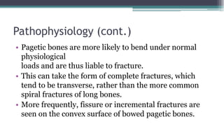 Pathophysiology (cont.)
• Pagetic bones are more likely to bend under normal
physiological
loads and are thus liable to fracture.
• This can take the form of complete fractures, which
tend to be transverse, rather than the more common
spiral fractures of long bones.
• More frequently, fissure or incremental fractures are
seen on the convex surface of bowed pagetic bones.
 