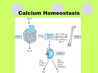 Metabolic Bone disorders and rickets and osteomalacia | PPTX