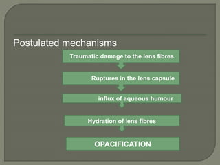 Postulated mechanisms
Traumatic damage to the lens fibres
Ruptures in the lens capsule
influx of aqueous humour
Hydration of lens fibres
OPACIFICATION
 