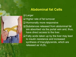  Larger
 Higher rate of fat turnover
 Hormonally more responsive
 Substances released from abdominal fat
are absorbed via the portal vein and, thus,
have direct access to the liver.
 Fatty acids taken up by the liver may lead
to insulin resistance and increased
synthesis of triacylglycerols, which are
released as VLDL.
Abdominal fat Cells
 
