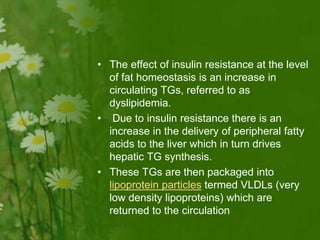 • The effect of insulin resistance at the level
of fat homeostasis is an increase in
circulating TGs, referred to as
dyslipidemia.
• Due to insulin resistance there is an
increase in the delivery of peripheral fatty
acids to the liver which in turn drives
hepatic TG synthesis.
• These TGs are then packaged into
lipoprotein particles termed VLDLs (very
low density lipoproteins) which are
returned to the circulation
 