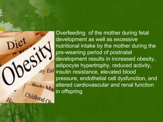 • Overfeeding of the mother during fetal
development as well as excessive
nutritional intake by the mother during the
pre-weaning period of postnatal
development results in increased obesity,
adipocyte hypertrophy, reduced activity,
insulin resistance, elevated blood
pressure, endothelial cell dysfunction, and
altered cardiovascular and renal function
in offspring
 