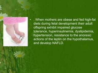 • . When mothers are obese and fed high-fat
diets during fetal development their adult
offspring exhibit impaired glucose
tolerance, hyperinsulinemia, dyslipidemia,
hypertension, resistance to the anorexic
actions of the leptin on the hypothalamus,
and develop NAFLD.
 