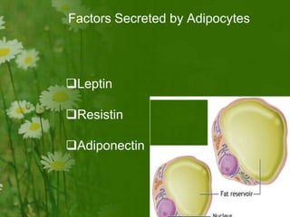 Factors Secreted by Adipocytes
Leptin
Resistin
Adiponectin
 