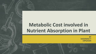 Metabolic Cost involved in
Nutrient Absorption in Plant
BY
VAISHNAVI Y
19PGA504
 