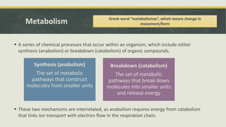 Metabolic cost involved in nutrient absorption in plant | PPTX