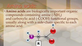 Metabolic defects in amino acid metabolism | PPTX
