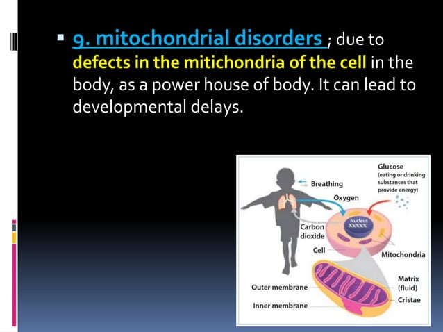 Metabolism visual data 3