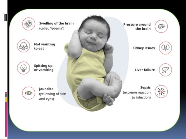 Metabolism visual data 7