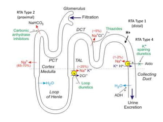 Pathoma Rta Metabolic disorders | PPTX