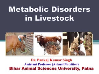 .
Dr. Pankaj Kumar Singh
Assistant Professor (Animal Nutrition)
 