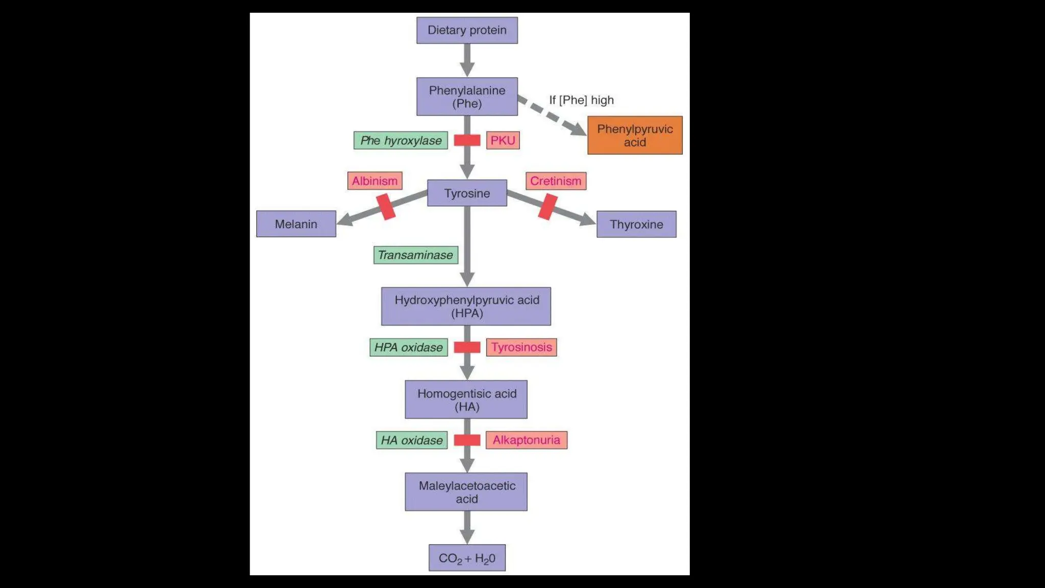 Approach to inborn errors of metabolism .pptx