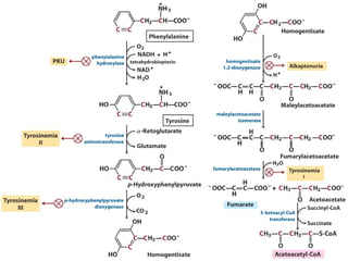 Zakład Genetyki Medycznej
 