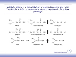 Zakład Genetyki Medycznej
Metabolic pathways in the catabolism of leucine, isoleucine and valine.
The site of the defect is shown at the oxo-acid step in each of the three
pathways.
 