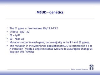 Zakład Genetyki Medycznej
MSUD - genetics
• The E1 gene – chromosome 19q13.1-13.2
• E1Beta - 6p21-22
• E2 - 1p31
• E3 - 7q31-32
• Mutations occur in each gene, but a majority in the E1 and E2 genes.
• The mutation in the Mennonite population (MSUD is common) is a T to
A transition - yields a single missense tyrosine to asparagine change at
position 393 (Y393N)
 