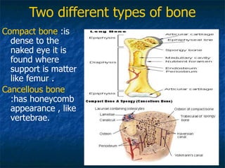 Explaining Metabolic Disorders of human body | PDF