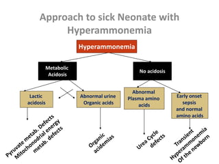 Approach to sick Neonate with
Hyperammonemia
Hyperammonemia
Metabolic
Acidosis
No acidosis
Lactic
acidosis
Abnormal urine
Organic acids
Abnormal
Plasma amino
acids
Early onset
sepsis
and normal
amino acids
 