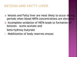  ketosis and Fatty liver are most likely to occur during
periods when blood NEFA concentrations are elevated.
 Incomplete oxidation of NEFA leads to formation of
ketones – aceto acetate and
beta-hydroxy butyrate
 Mobilization of body reserves ensues
 