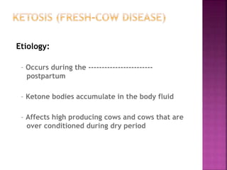 Etiology:
– Occurs during the ------------------------
postpartum
– Ketone bodies accumulate in the body fluid
– Affects high producing cows and cows that are
over conditioned during dry period
 