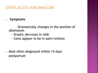  Symptoms
– Dramatically changes in the position of
abomasum
– Drastic decrease in milk
– Cows appear to be in pain/restless
 Most often diagnosed within 14 days
postpartum
 