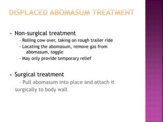  Non-surgical treatment
– Rolling cow over, taking on rough trailer ride
– Locating the abomasum, remove gas from
abomasum, toggle
– May only provide temporary relief
 Surgical treatment
– Pull abomasum into place and attach it
surgically to body wall
 