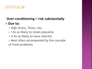Over-conditioning 􀃏 risk substantially
• Due to:
• High stress, Twins, etc.
• 12x as likely to retain placenta
• 4.9x as likely to have metritis
• Most often accompanied by the cascade
of fresh problems
 
